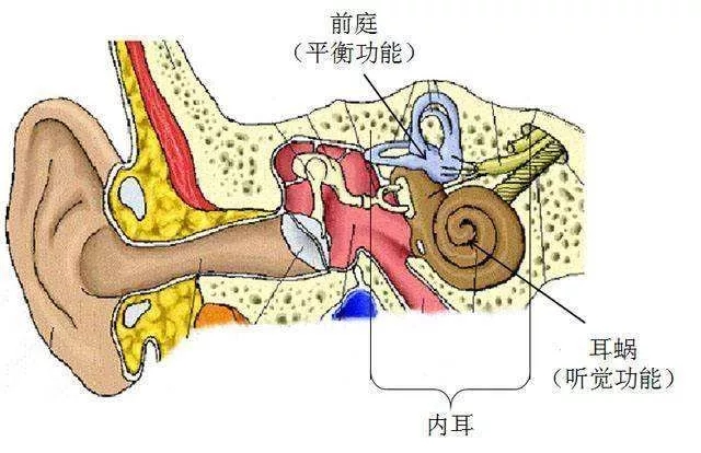 宜童自闭症康复中心.jpg